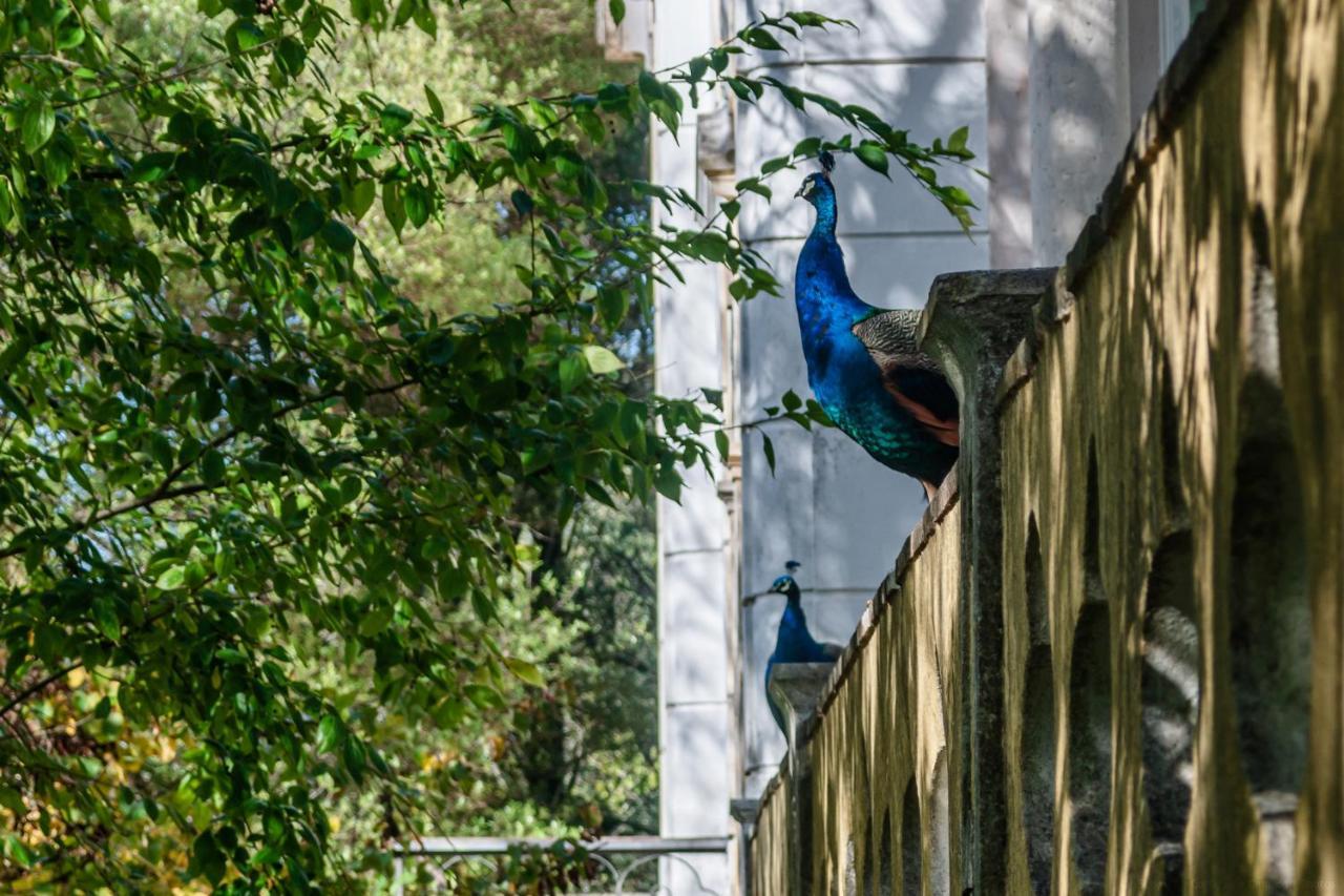 Апартаменти Casas Da Tapada Лісабон Екстер'єр фото